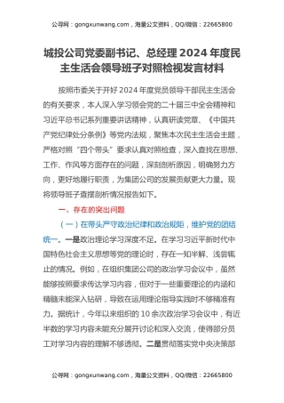 城投公司党委副书记、总经理2024年度民主生活会领导班子对照检视发言材料（四个带头+违纪行为典型案例剖析）