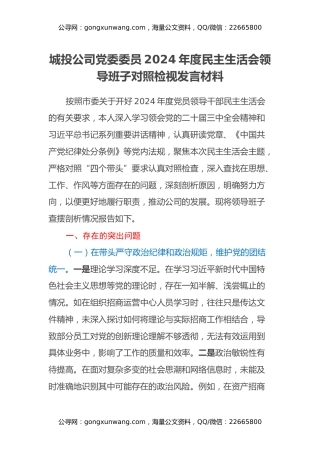 城投公司党委委员2024年度民主生活会领导班子对照检视发言材料（四个带头+违纪行为典型案例剖析）