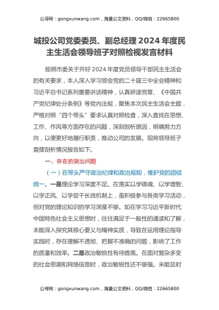 城投公司党委委员、副总经理2024年度民主生活会领导班子对照检视发言材料（四个带头+违纪行为典型案例剖析）