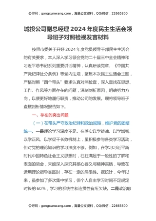 城投公司副总经理2024年度民主生活会领导班子对照检视发言材料（四个带头+典型案例剖析及自身差距不足）