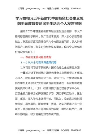学习贯彻2023年主题教育专题民主生活会个人发言提纲（新六个方面、反面典型案例剖析、政绩观、上年度问题整改落实情况）