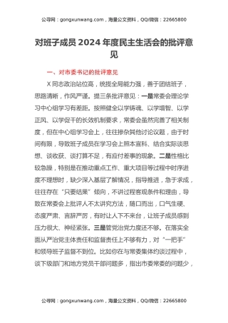 对班子成员2024年度民主生活会的批评意见