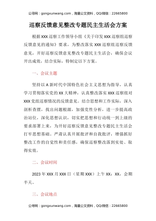 巡察反馈意见整改专题民主生活会方案