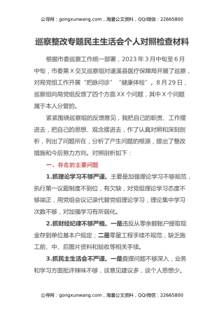 巡察整改专题民主生活会个人对照检查材料（2）