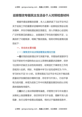 巡察整改专题民主生活会个人对照检查材料（7）