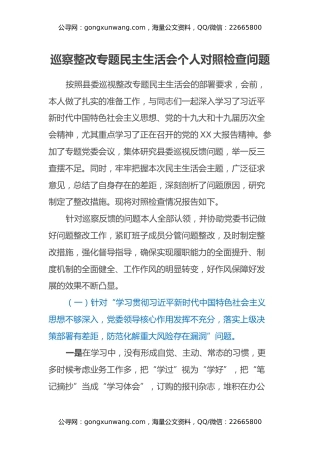巡察整改专题民主生活会个人对照检查问题