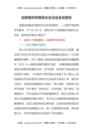 巡察整改专题民主生活会会后报告