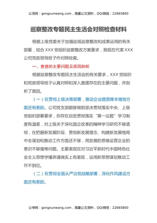 巡察整改专题民主生活会对照检查材料（2）