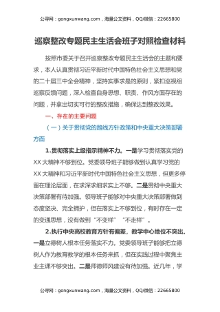 巡察整改专题民主生活会班子对照检查材料