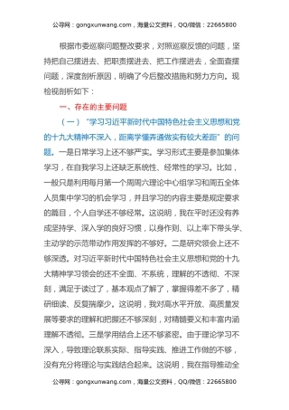 巡察整改民主生活会个人剖析材料