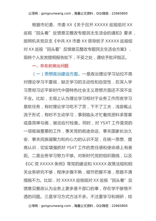 巡视“回头看”反馈意见整改专题民主生活会个人发言提纲