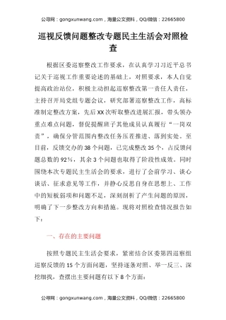 巡视反馈问题整改专题民主生活会对照检查