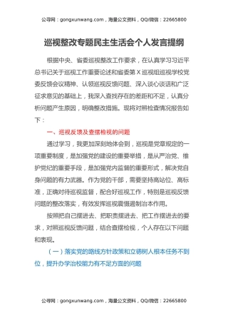 巡视整改专题民主生活会个人发言提纲