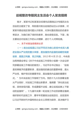 巡视整改专题民主生活会个人发言提纲（国企集团党委专职副书记）