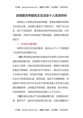 巡视整改专题民主生活会个人发言材料