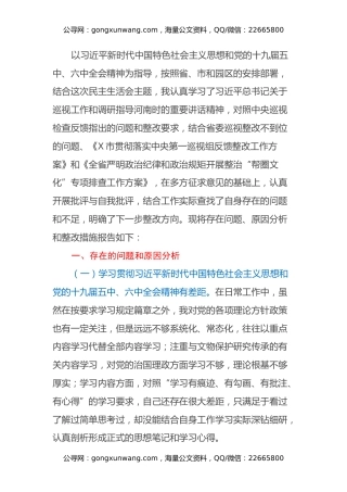 巡视整改专题民主生活会个人对照检查材料