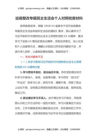 巡视整改专题民主生活会个人对照检查材料（2）