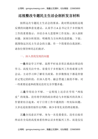 巡视整改专题民主生活会剖析发言材料