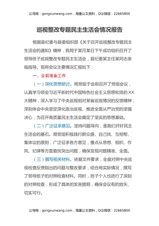 巡视整改专题民主生活会情况报告