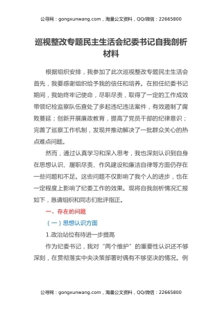 巡视整改专题民主生活会纪委书记自我剖析材料