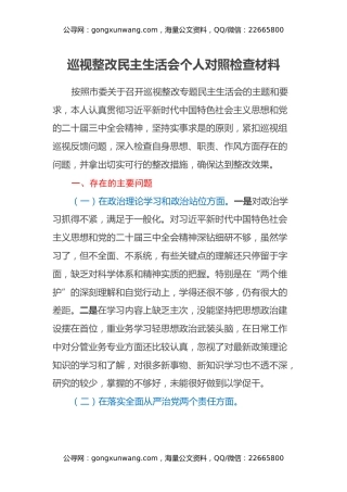 巡视整改民主生活会个人对照检查材料
