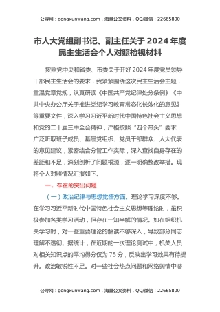 市人大党组副书记、副主任关于2024年度民主生活会个人对照检视材料（典型案例剖析）