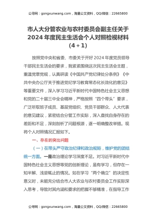 市人大分管农业与农村委员会副主任关于2024年度民主生活会个人对照检视材料（四个带头+典型案例剖析）
