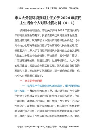 市人大分管环资委副主任关于2024年度民主生活会个人对照检视材料（四个带头+违纪行为典型案例剖析）