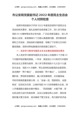 市公安局党委副书记2022年度民主生活会个人对照检查