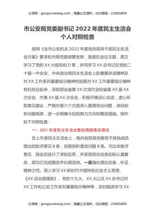市公安局常务副局长2022年度民主生活会个人对照检查