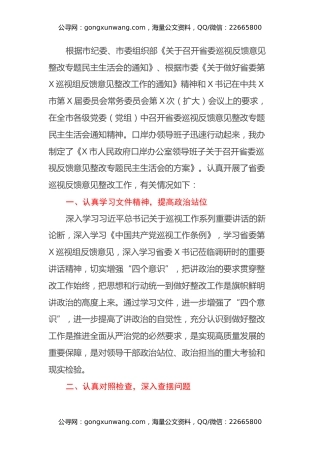 市口岸办副主任省委巡视反馈意见整改专题民主生活会对照检查材料