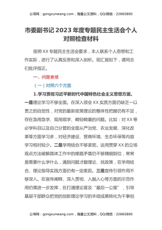 市委副书记2023年度专题民主生活会个人对照检查材料