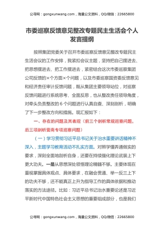 市委巡察反馈意见整改专题民主生活会个人发言提纲