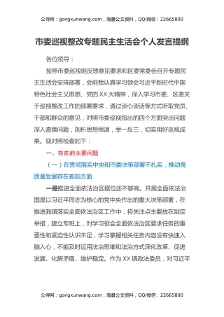 市委巡视整改专题民主生活会个人发言提纲