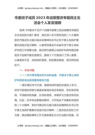 市委班子成员2023年巡察整改专题民主生活会个人发言提纲