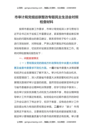 市审计局党组巡察整改专题民主生活会对照检查材料