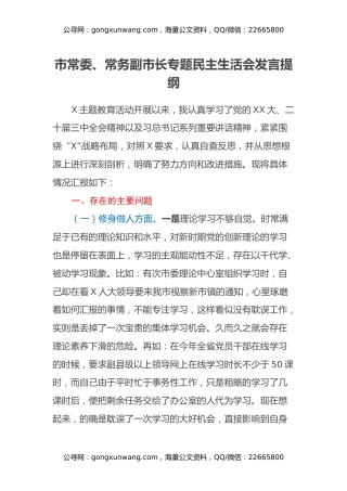 市常委、常务副市长专题民主生活会发言提纲