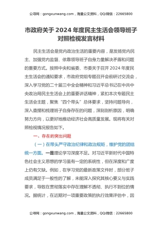市政府关于2024年度民主生活会领导班子对照检视发言材料（四个带头+典型案例剖析）