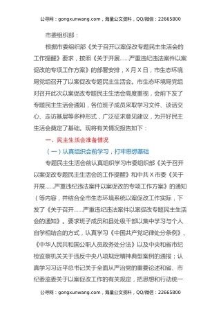 市生态环境局开展……严重违纪违法案件以案促改专题民主生活会情况报告