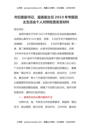 市纪委副书记、监委副主任2023年专题民主生活会个人对照检查发言材料