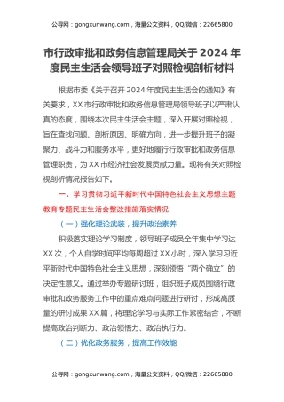 市行政审批和政务信息管理局关于2024年度民主生活会领导班子对照检视剖析材料（主题教育整改措施落实情况+四个带头+违纪行为典型案例，举一反三剖析）