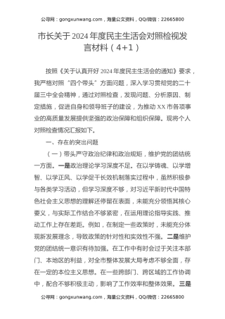 市长关于2024年度民主生活会对照检视发言材料（四个带头+违纪案例剖析）