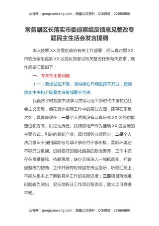 常务副区长落实市委巡察组反馈意见整改专题民主生活会发言提纲