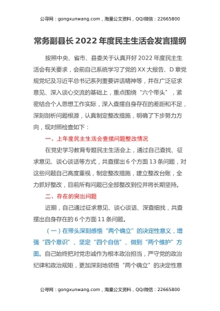 常务副县长2022年度民主生活会发言提纲