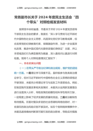 常务副市长关于2024年度民主生活会“四个带头”对照检视发言材料（典型案例剖析）