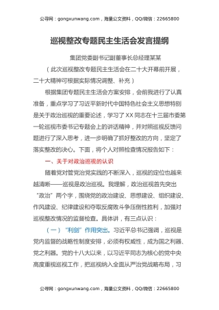 总经理巡视整改专题民主生活会个人发言提纲2