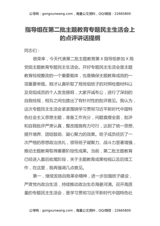 指导组在第二批主题教育专题民主生活会上的点评讲话提纲