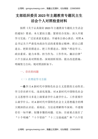 支部组织委员2023年主题教育专题民主生活会个人对照检查材料