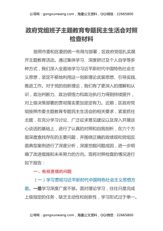 政府党组班子主题教育专题民主生活会对照检查材料（八个方面、反面典型案例、政绩观）
