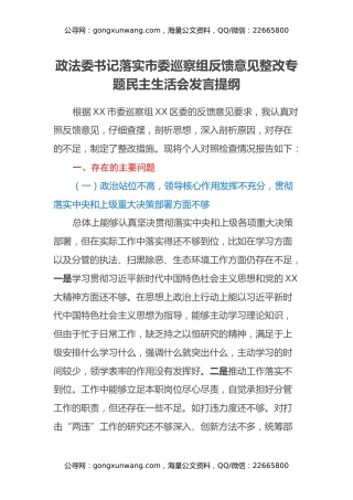政法委书记落实市委巡察组反馈意见整改专题民主生活会发言提纲